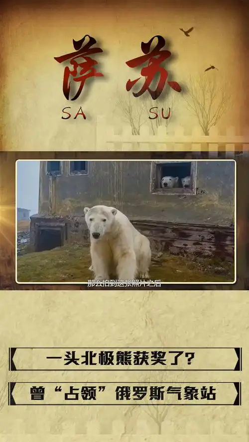 俄罗斯奇葩事件,一头北极熊占领了气象站,拿下国家地理大奖