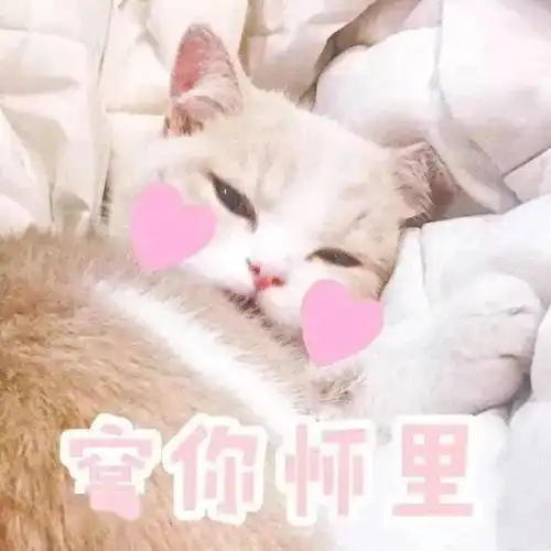 今天份的小仙女表情包来了哟