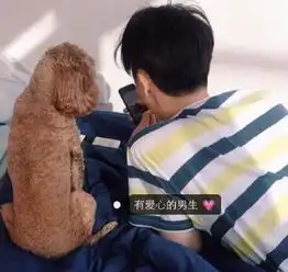 帅气男生个性图片大全2016女生喜欢的男生九种类型