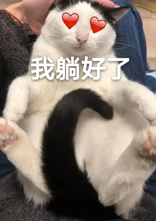 没有这组表情包的女孩,只能说你是个假粉丝