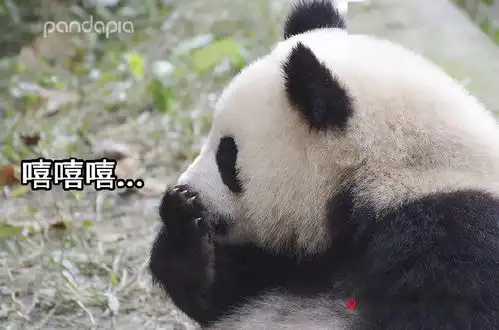 滚滚图享两个问题谁的表情包没有更新以及肉肉最后有没有挨打
