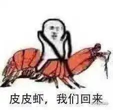 皮皮虾除了被吃,还要出来刷屏朋友圈皮皮虾我们走到底怎么了