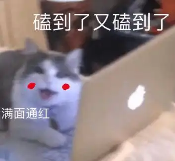 杨洋和热巴甜哭了做梦都想拥有剧中同款豪宅