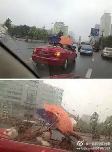 开冰箱的时候我的肚子都是这中表情