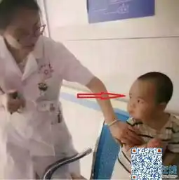 套图