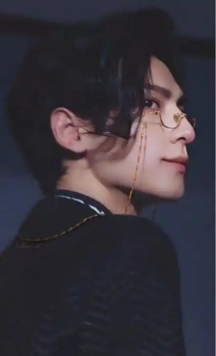 抓rs眼镜帅哥图鉴原名男明星的眼镜杀