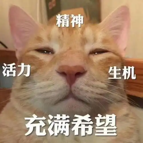 沙雕表情包在作死的边缘试探