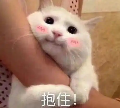 聊天必备无敌可爱撩人表情包,嗨不起来算我输赶紧收藏