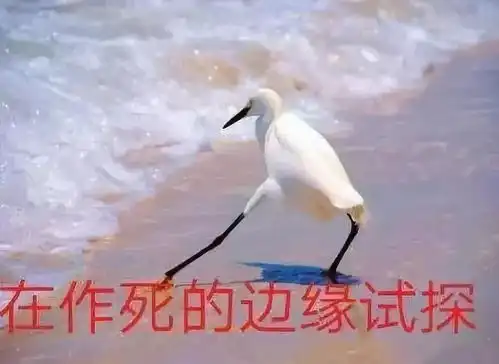 2018年度流行语看这里,你都用过哪一个