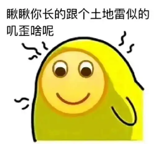 今天我所有的鸡联合起来,给我织了件绿色的毛衣