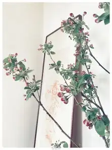 鲜花与佛像陈坤雅致豪宅内景曝光
