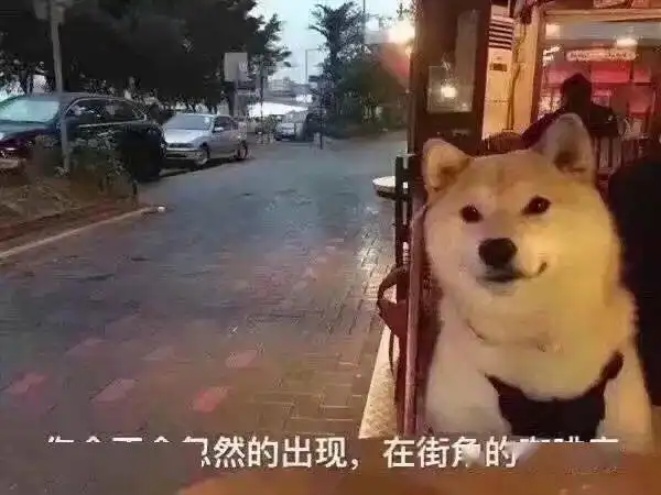 e句话看天下丨黑豹男主一定是回瓦坎达当国王了