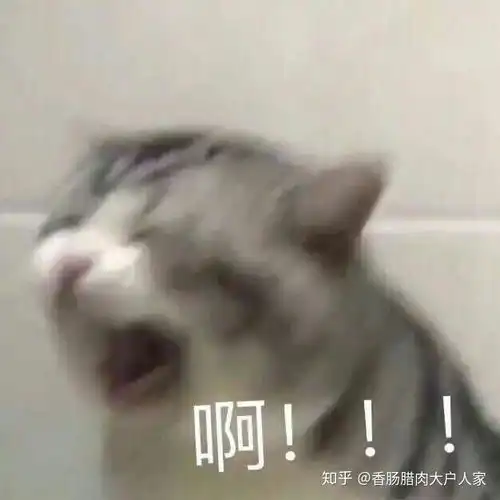 狗狗体内驱虫用那种药好