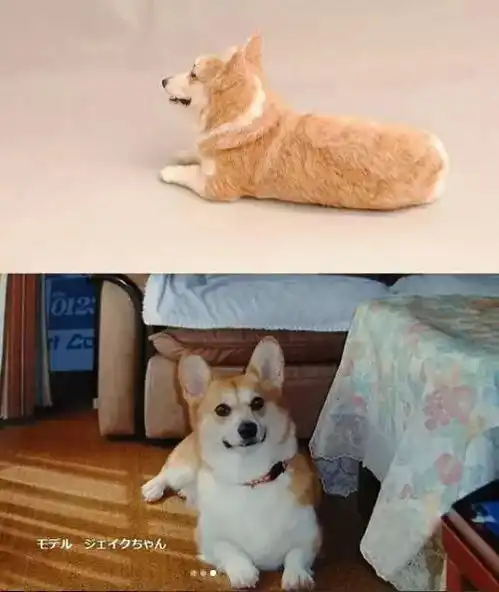 这些毛毡制作的小猫小狗,简直可爱到犯规