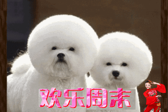2021年9月12日星期六漂亮早上好问候动态表情图片带字