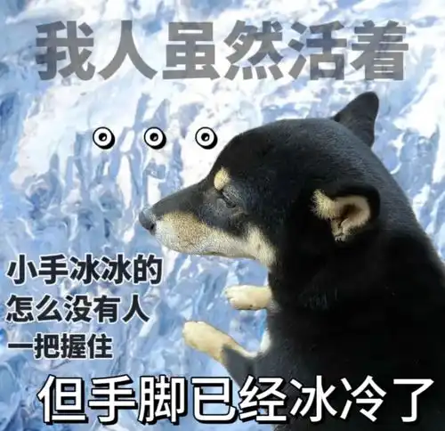 我爸吃掉我两包泡面,我直接崩溃大哭看完评论,留子们汗流浃背了