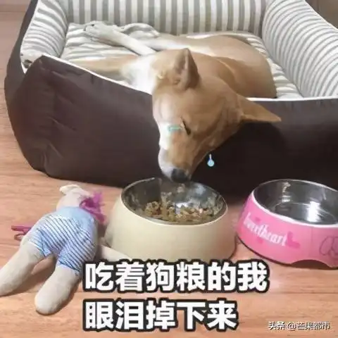 又要放假了,安排