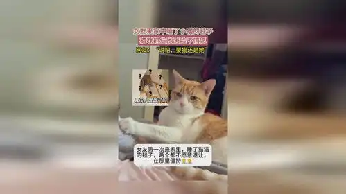 女友来家中睡了小猫的毯子猫咪抓住她满脸不情愿