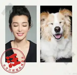 李冰冰晒照自嘲单身汪表情搞怪逗趣惹人爱8117604