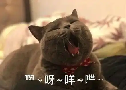 沙雕聊天表情包i贫穷使我不能入睡
