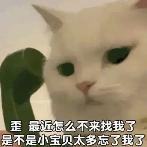 闭上你的狗嘴,ok丨第137期喵表情