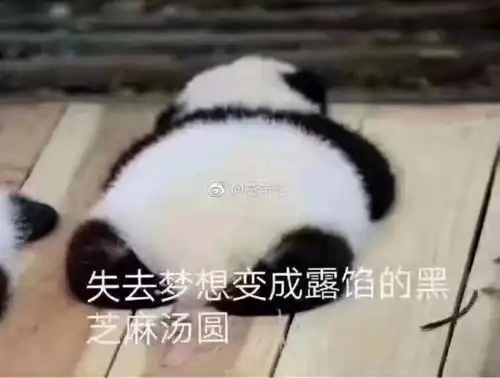 合同期间用用人单位可以把员工调到同城不同公司吗