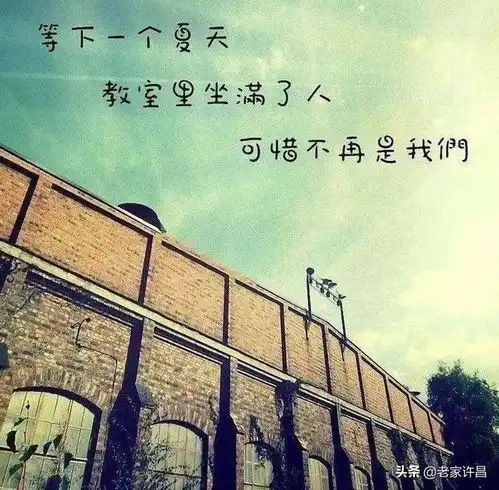 故事许昌七中往事