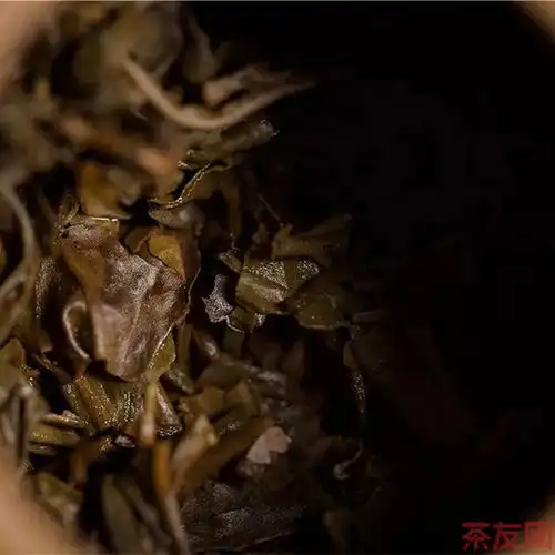 下关沱茶下关甲沱2003年价格多少钱怎么样图片评测报价查询批发茶友网原中国普洱茶网
