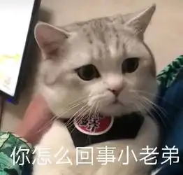 lol为照顾小霸王玩家,官方怒增新功能,网友用aoe