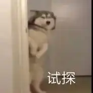 你是什么驾照碰碰车驾照