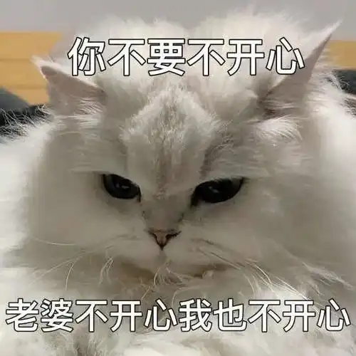 压箱底喵星人表情,认错专用哦