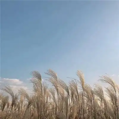 开元kyapp首页