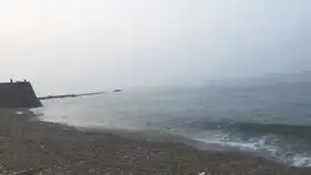 在被挠的边缘疯狂试探