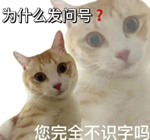 不知所措丨第795期喵表情包