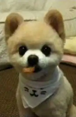 装修公司表情图,哈哈哈哈哈哈哈哈哈哈