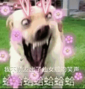 kkh点歌机那个型号好呢