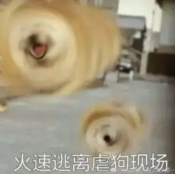 又作死老虎地盘上撒野每日轻松一刻3月19日周日版