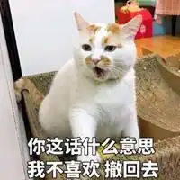 喵喵喵喵喵表情包微信头像图片大全