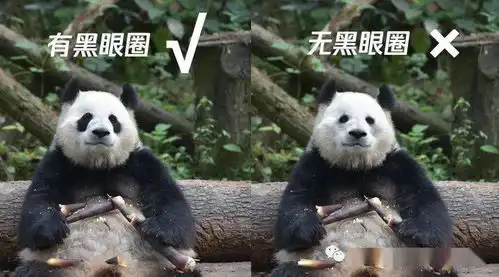 用熊猫表情包,请认准有黑眼圈的