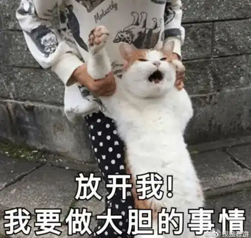 雅安一快递小哥无证驾驶被查获,这一单1000元拘留3天
