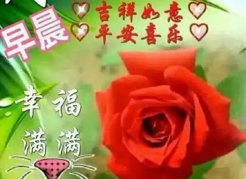 清晨最新早安祝福语的动画表情图片大全,最新早安祝福语表情动态图片带字