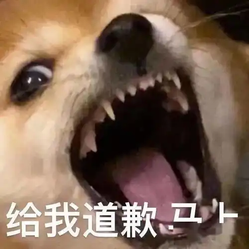 跟你超配的沙雕表情包