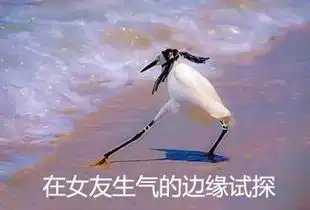 面对女友的灵魂拷问,这么机智的回答我也是服了