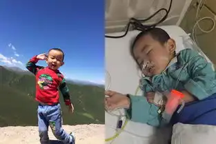 6岁萌娃病房内模仿网红韩美娟逗笑众人,母亲他可能熬不过春节
