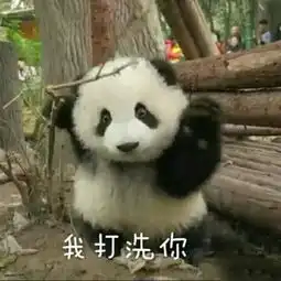 搜狐公众平台成都有理由把你留下来