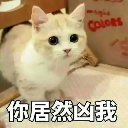 给大家发一点猫咪的表情包猫吧百度贴吧表情包