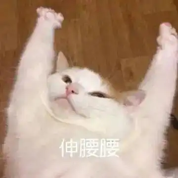 快来看我两米的大长腿丨第118期喵表情