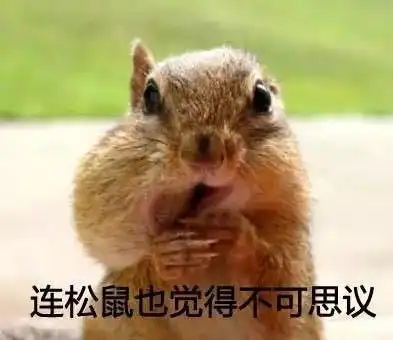 5分钟一次高潮,好久没这么大开眼界了