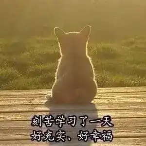 表情包丨我要学习了,不跟你们玩了