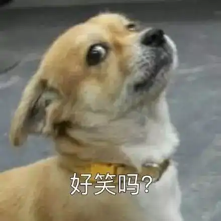 你不是处女,我也不用戴套,这才是爱情动物